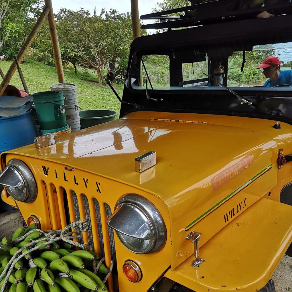 jeep 2